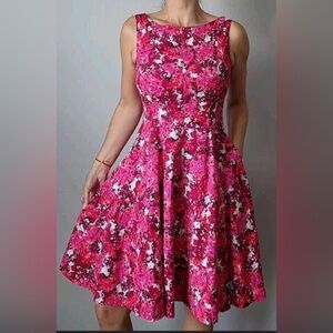 Maggy London Print Stretch Fit and Flare Dress